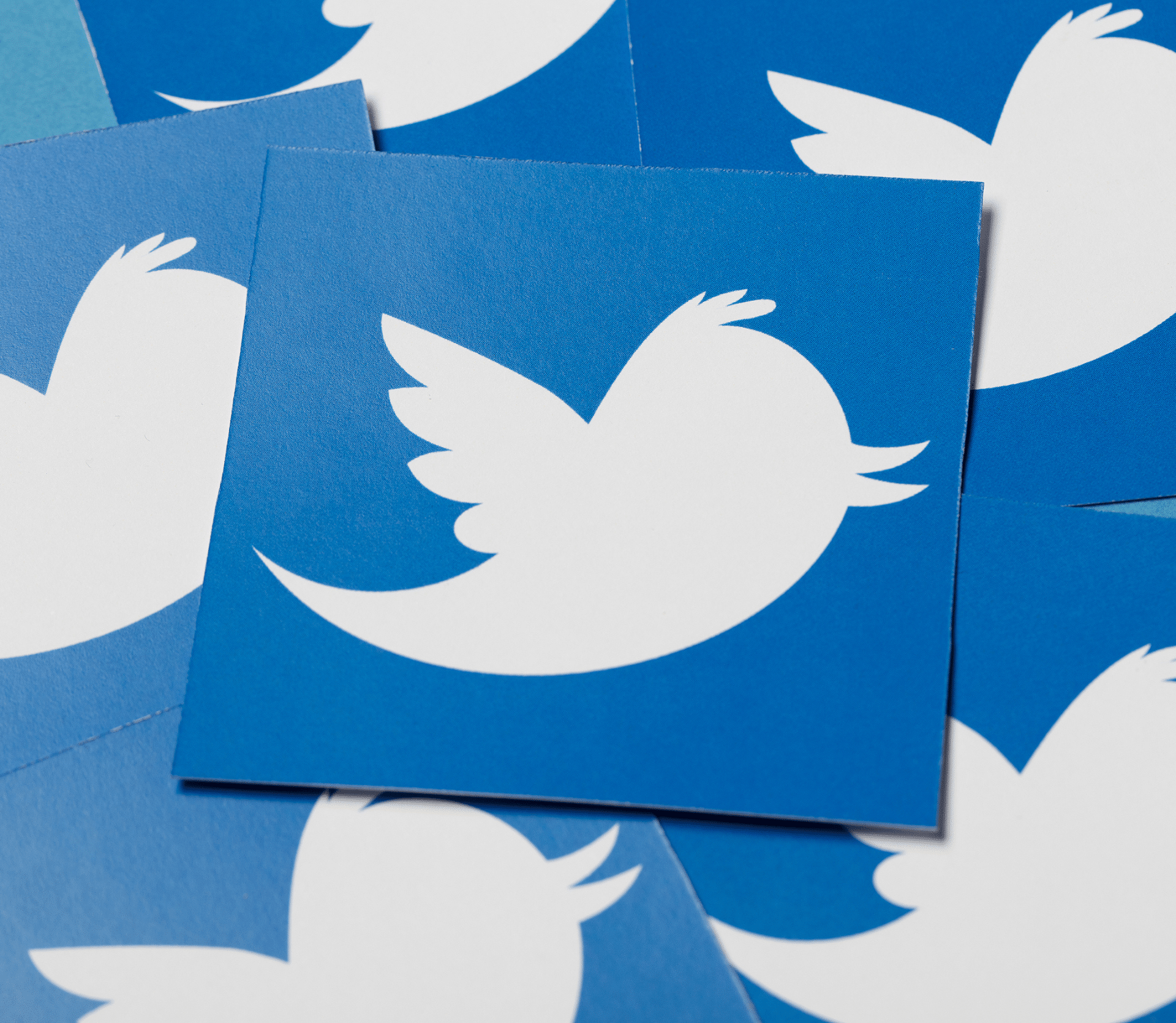 Twitter logo printed on paper