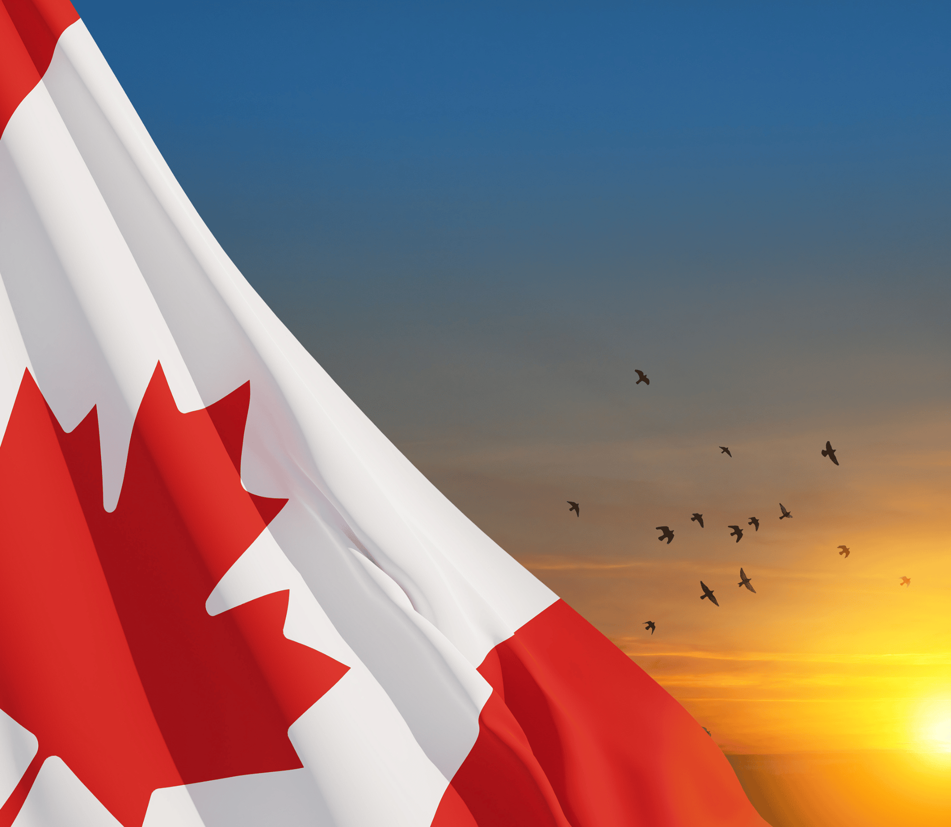 Canadian flag displayed with sunset and flying birds in the background