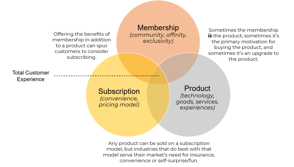 The Rise of Membership and Subscription Models in Blogging Platforms