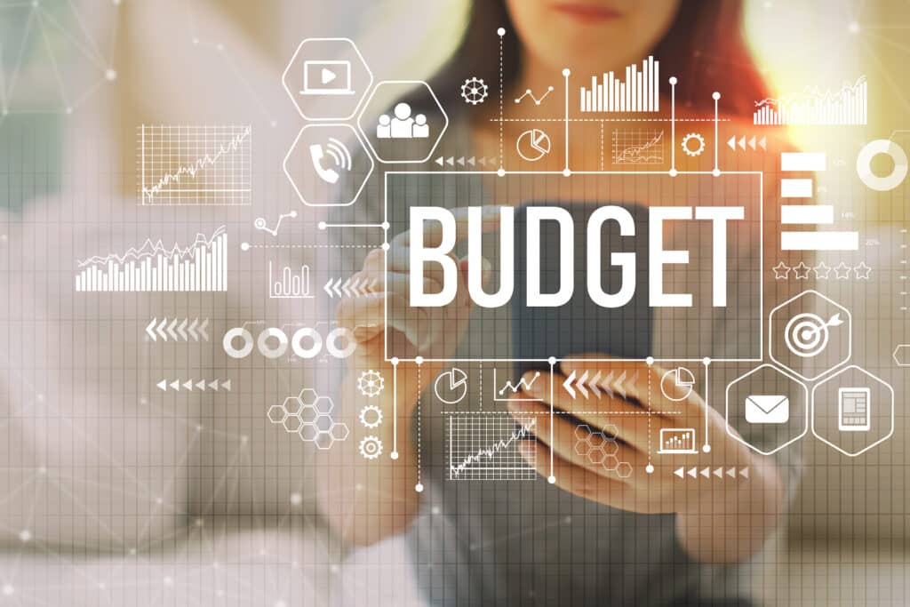 Business woman documenting her budget when selecting a technology solution. A subscription business needs to know how much it can afford to spend.