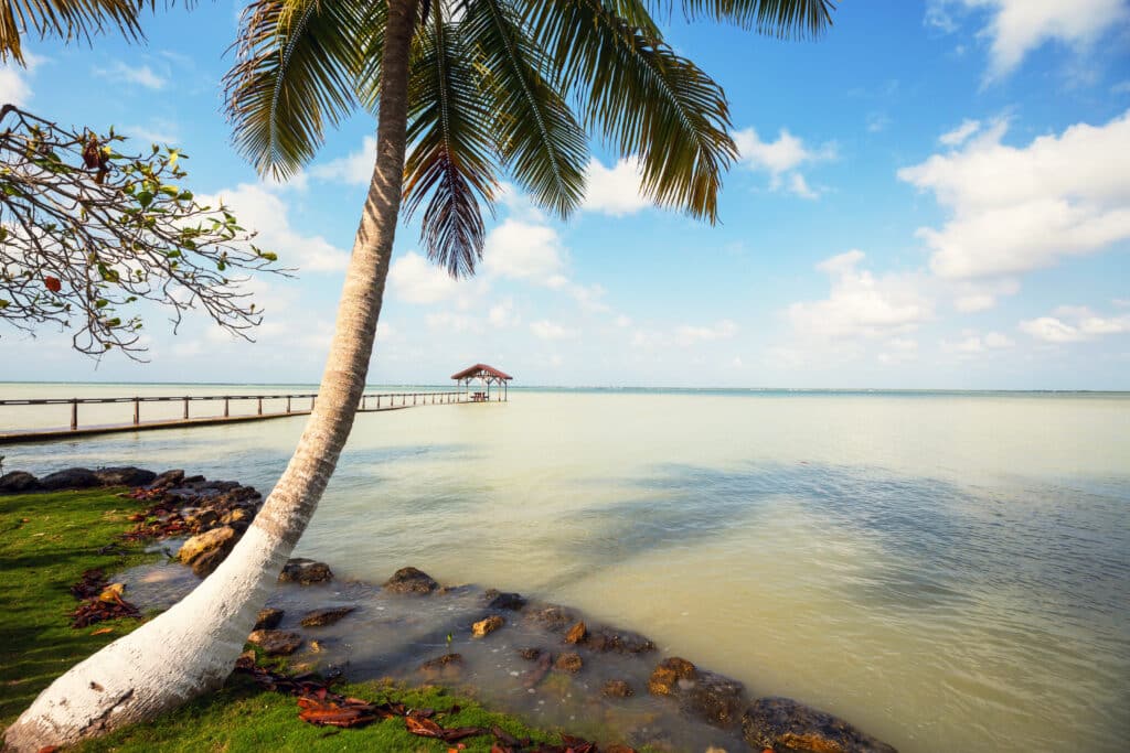 Beautiful summer landscapes  on the tropical beach. Vacation background.